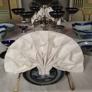 Gingham Napkin Set (4)
